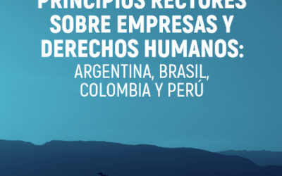 [Relatório] Análisis de la aplicabilidad y eficacia de los Principios Rectores sobre las empresas y los derechos humanos: Argentina, Brasil, Colombia y Perú