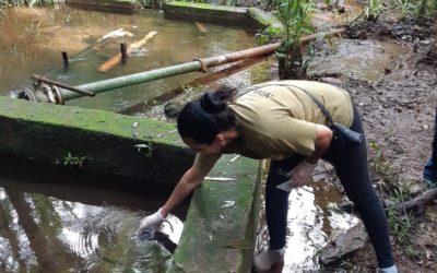 Jangada Água Viva: Autogestão como fonte de resistência comunitária