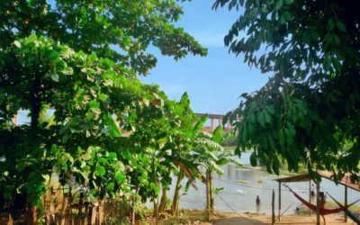 Seminário Tocantino da Pedagogia da Alternância é realizado em Imperatriz (MA)