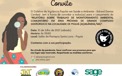 Autonomia no Monitoramento Ambiental